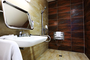 bathroom remodeling